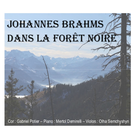 J.Brahms Trio for horn, violon and piano, Op.40